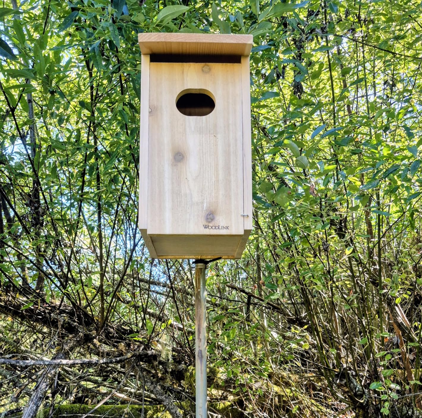 Woodlink WD1 Cedar Duck House, 1 customer photo 2