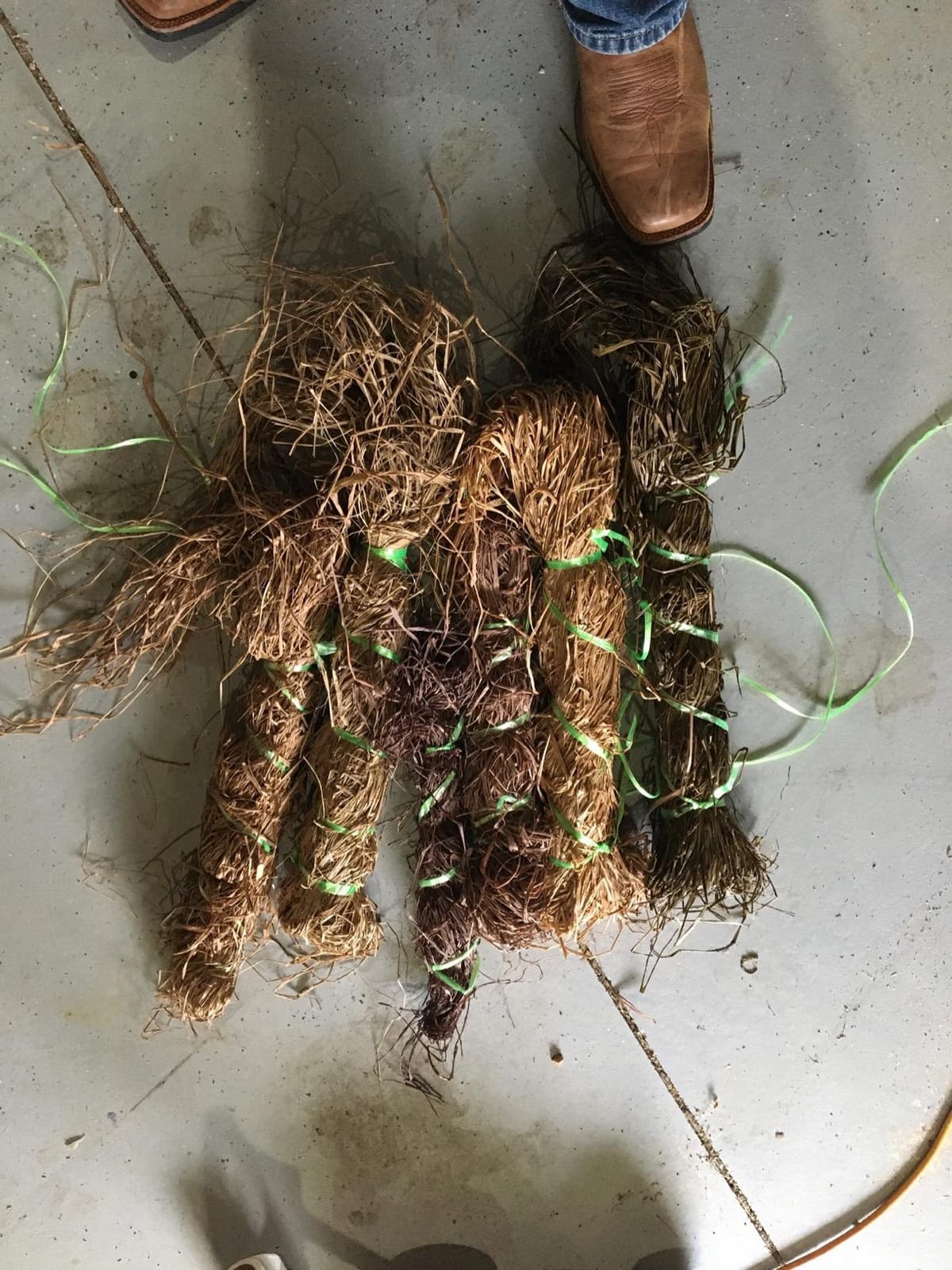 Avery KillerWeed Layout Blind Kit customer photo 2