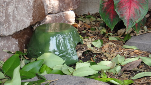 Esschert Design Toadhouse customer photo 1