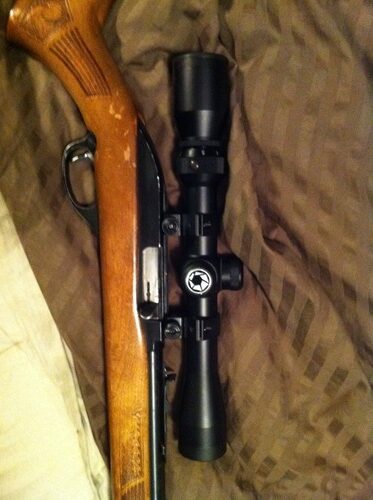 BARSKA 30/30 Crosshair Reticle Rifle Scope for .22 Plinking & Rimfire Rifles - Optimal Precision with Rings for Shooting, Hunting, Target Practice customer photo 2