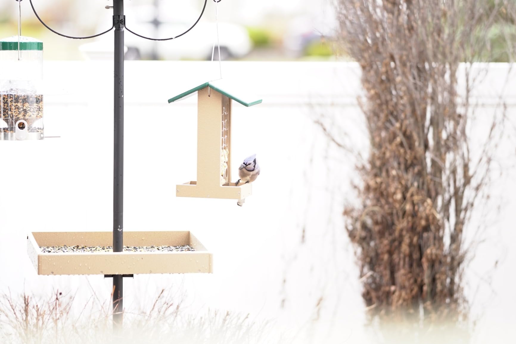 Birds Choice Whole Peanut Bird Feeder for Blue Jays and Woodpeckers - Durable Recycled Material, Taupe w/ Green, 7