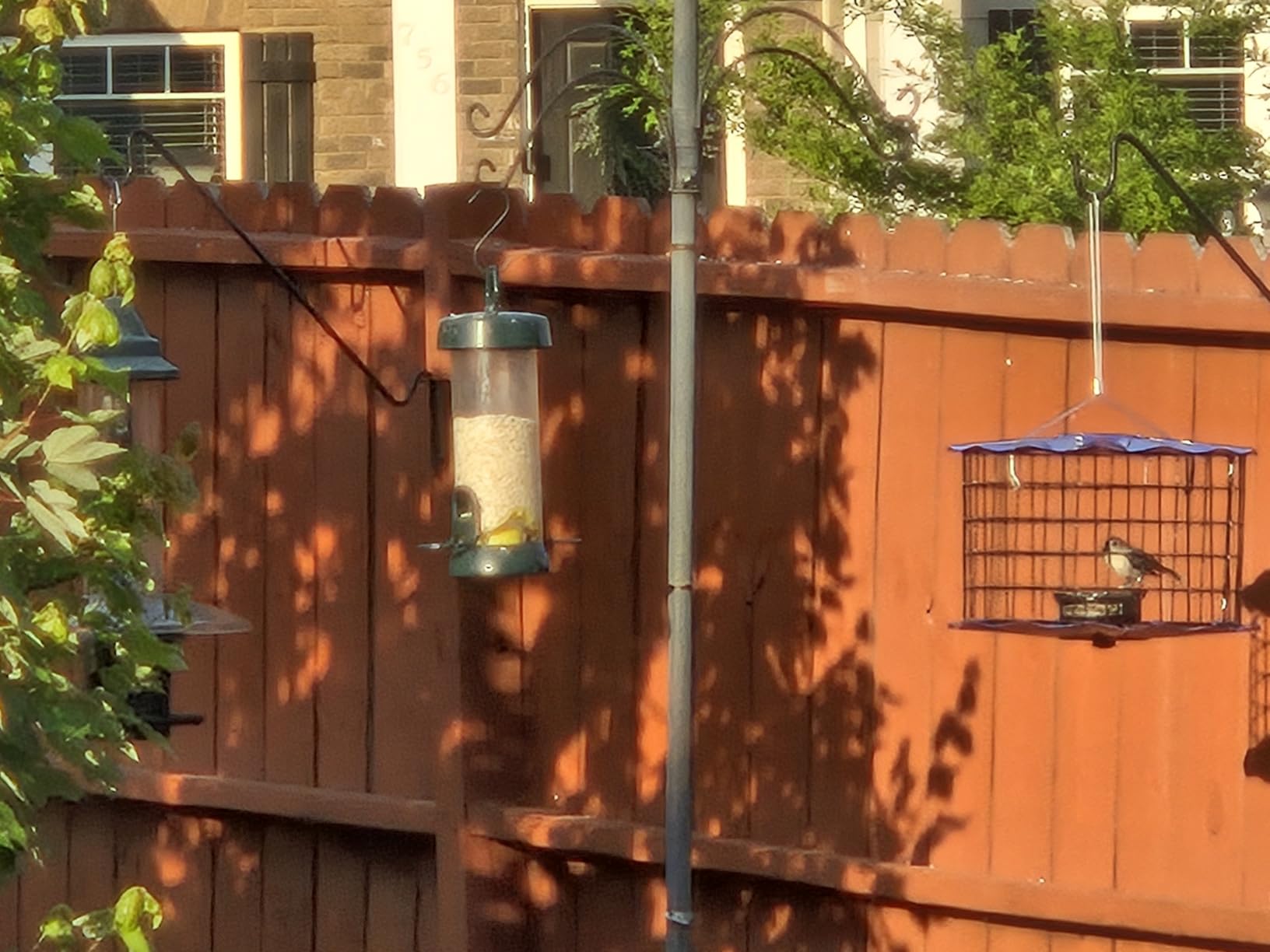 Erva Starling-Proof Barrier Guard Bluebird Feeder with Glass Mealworm Cup - Premium Blue Powdercoat Finish - Made in USA (BBF1) customer photo 1