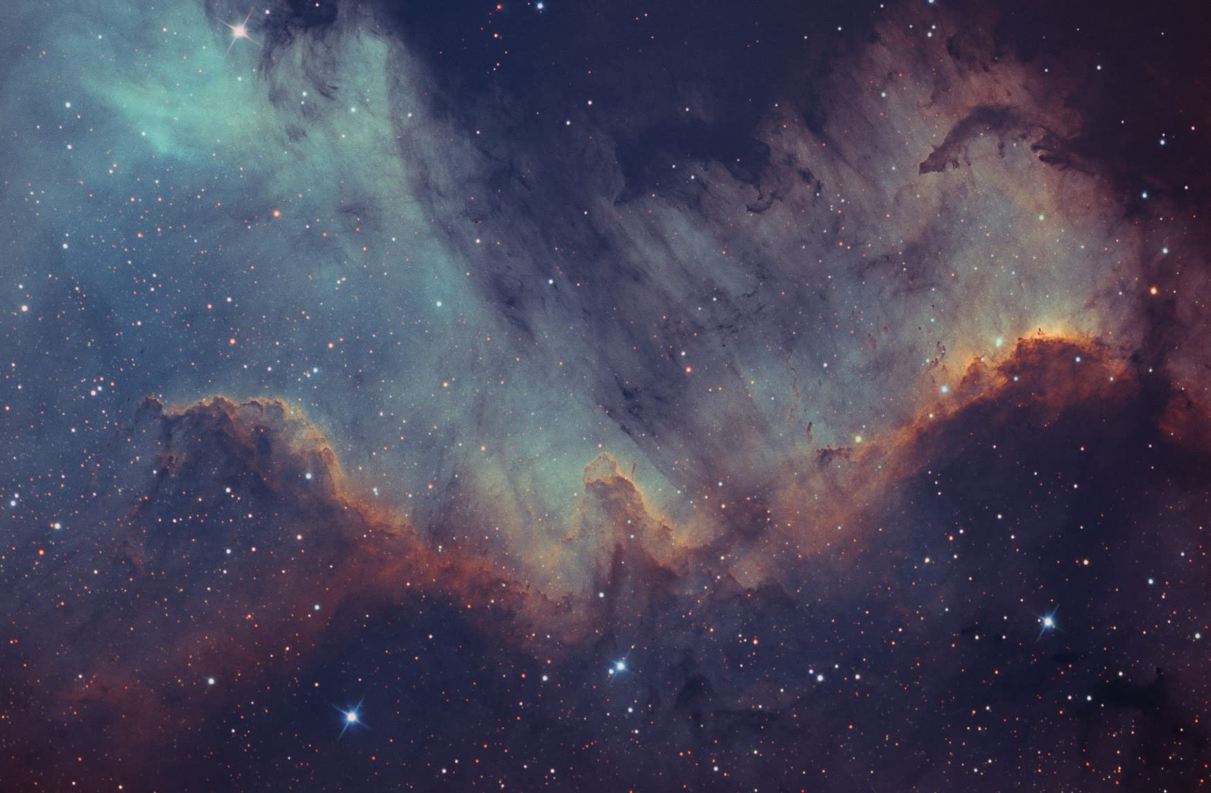 TeleVue Paracorr customer photo 1