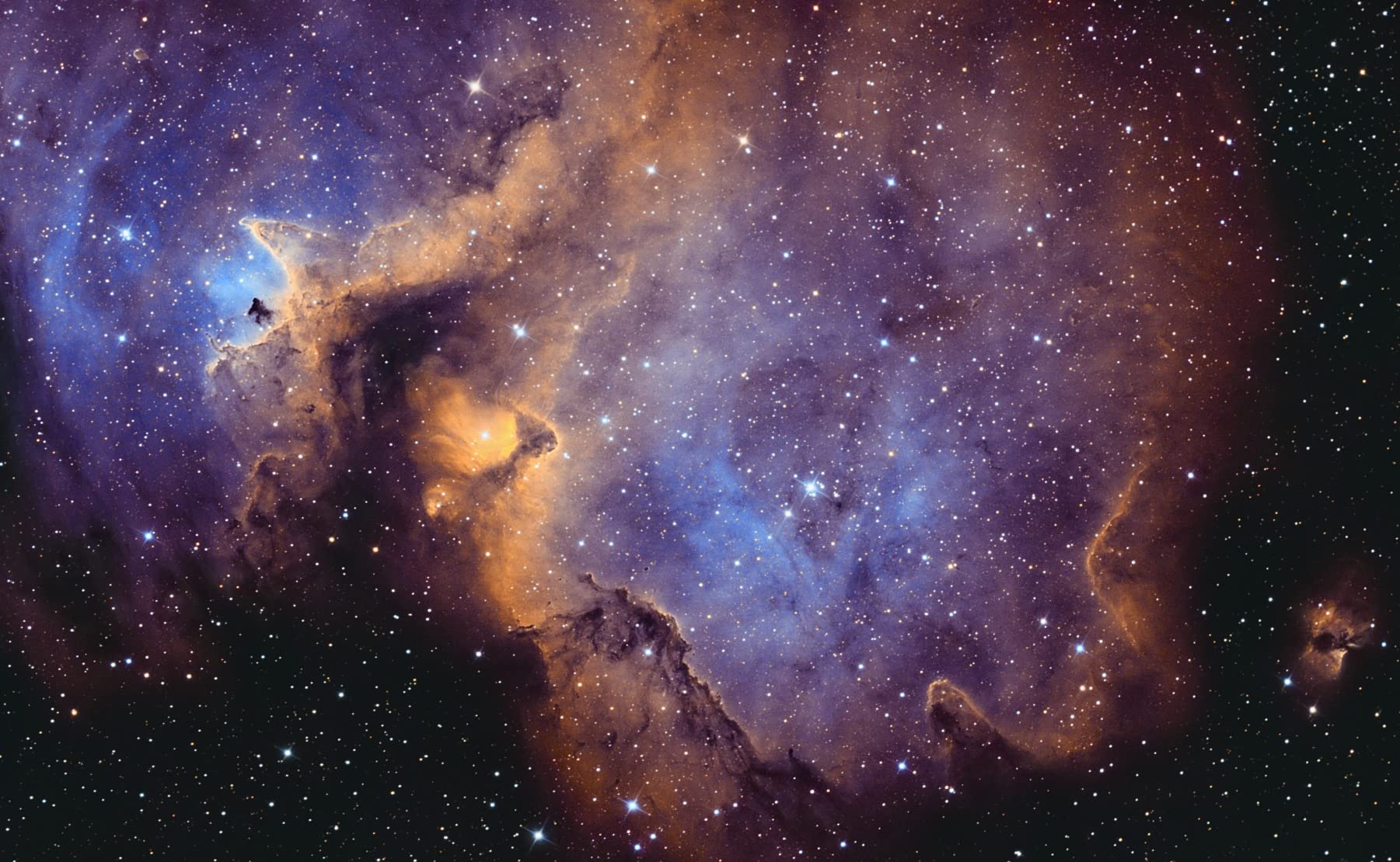TeleVue Paracorr customer photo 2