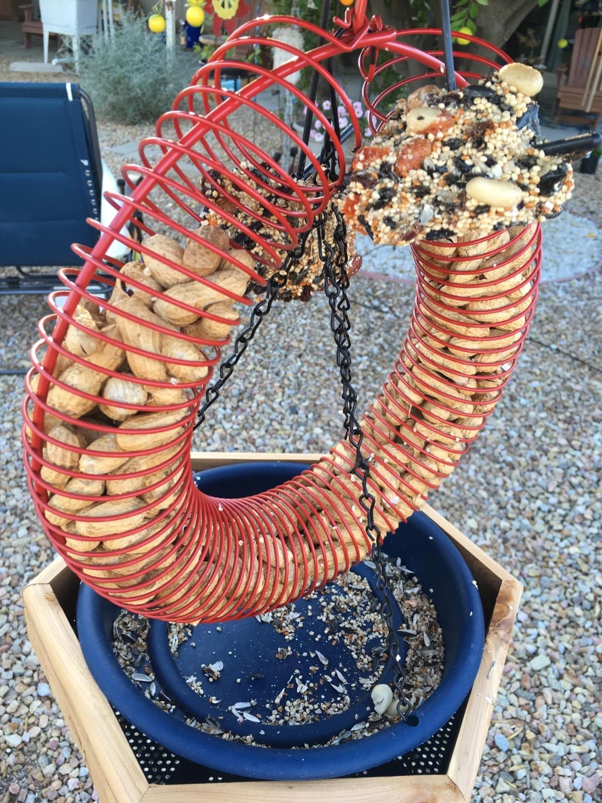 Red Peanut Wreath Bird Feeder, 13 Inch Hanging Whole Nut Feeder customer photo 2