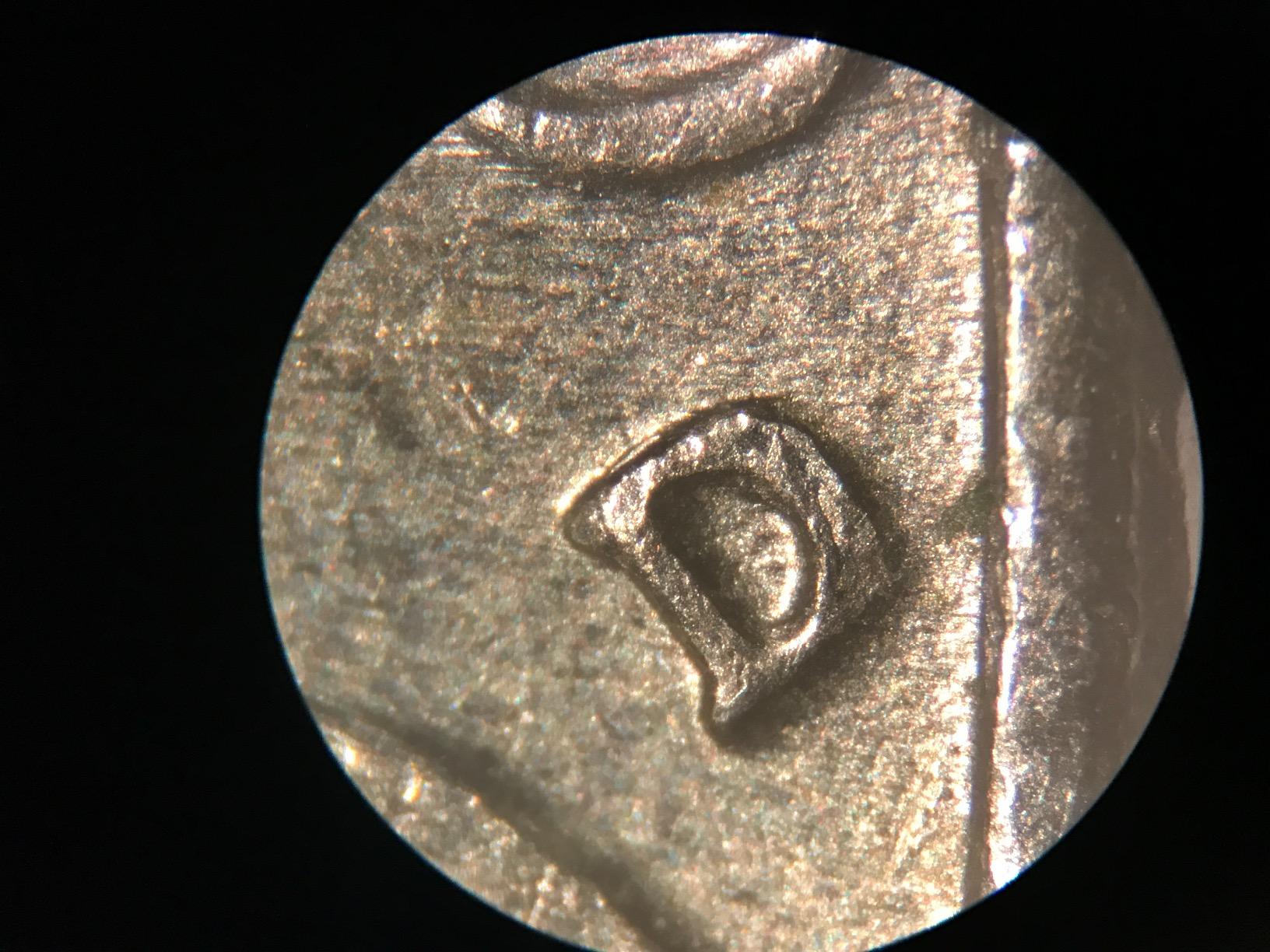 AmScope SE306R-P20 Forward-Mounted Binocular Stereo Microscope, WF20x, 40X & 80X Magnification customer photo 1