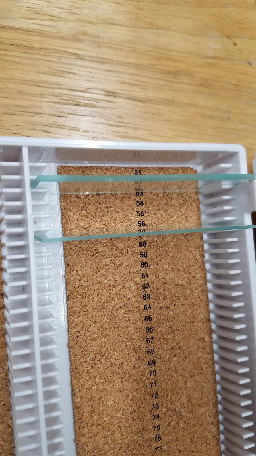 Heathrow Scientific HD15994E White Cork Lined 100 Place Microscope Slide Box, 8.25