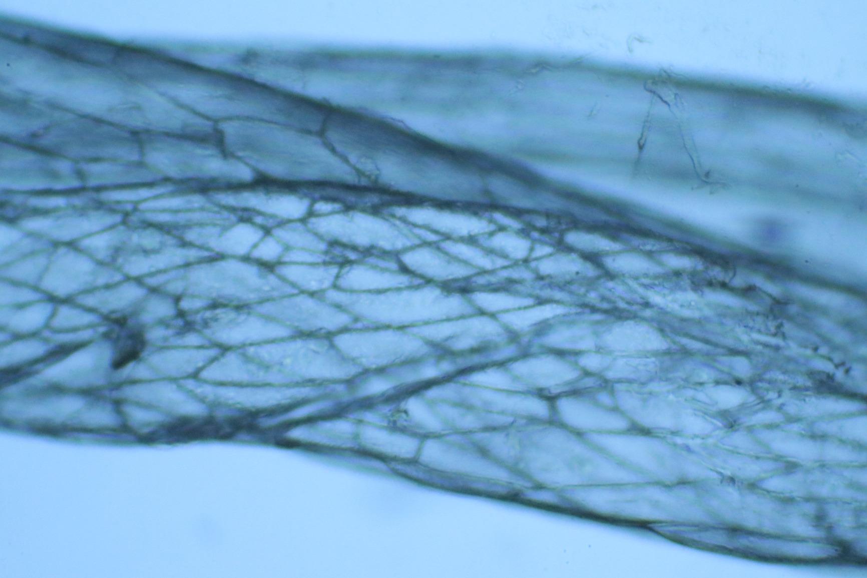 AmScope T340B-DK-LED Compound Microscope, Brightfield/Darkfield customer photo 2