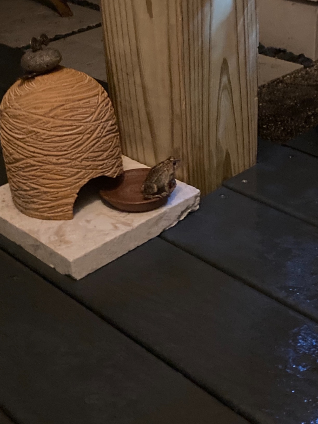 Ancient Graffiti Ceramic Toad House with Bath customer photo 1