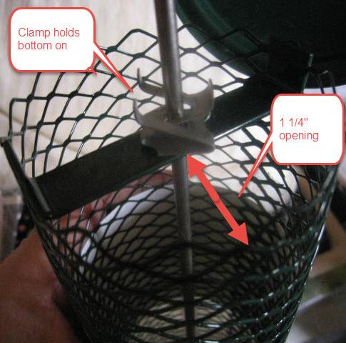 Birds Choice Small Hanging Mesh Peanut Bird Feeder - Great First Bird Feeder - Metal Mesh Tube, Holds 2 Cups of Shelled Peanuts or Nut Mix customer photo 2