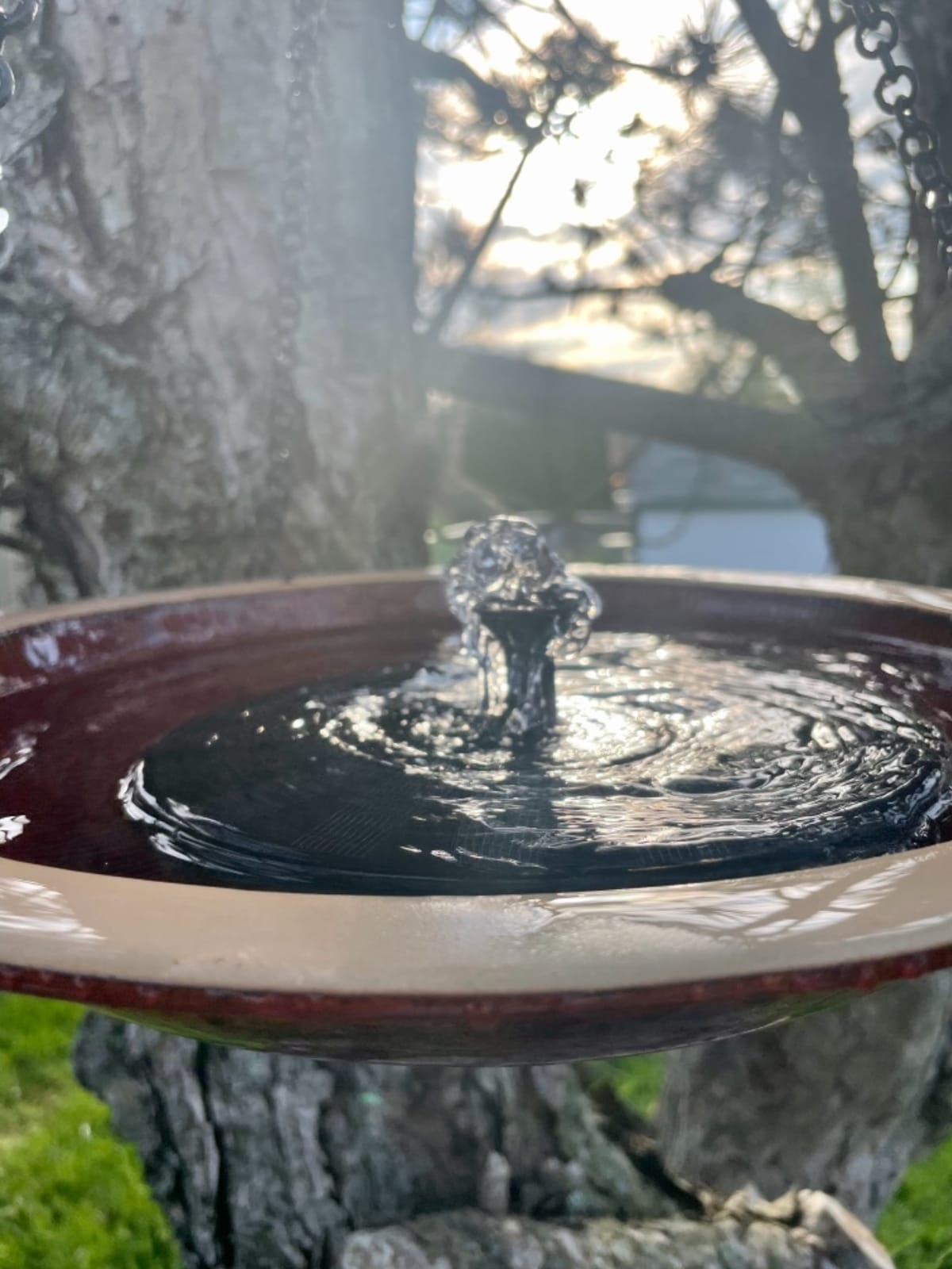 BYER OF MAINE Circles Hanging Bird Bath, 14
