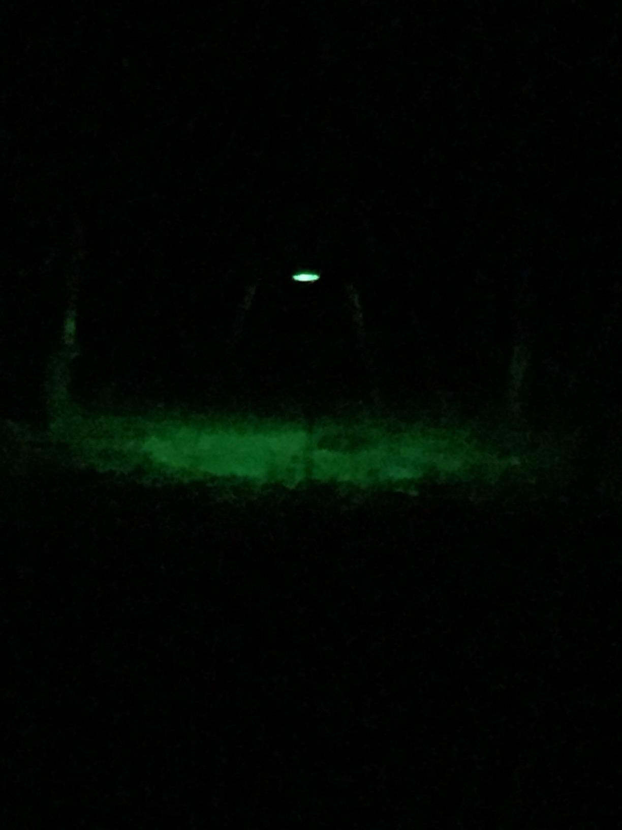 Moultrie Feeder Hog Light - 35 Green LEDs, 4-Way Switch, Motion Activated customer photo 2