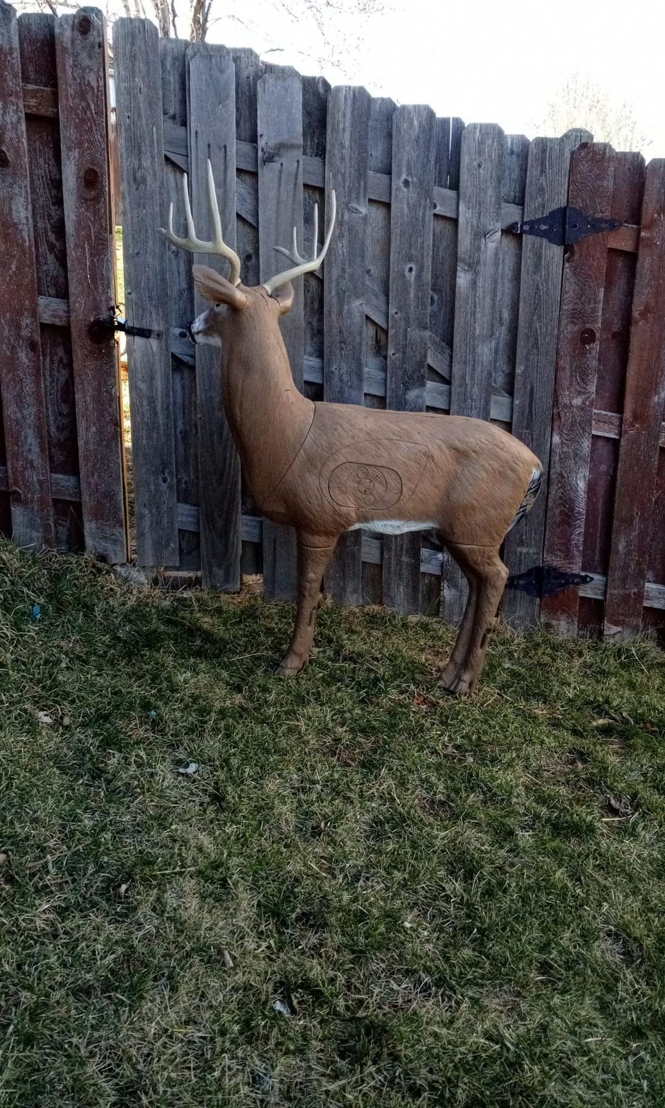 Delta 51490 Bloodline Buck, X-Large customer photo 1