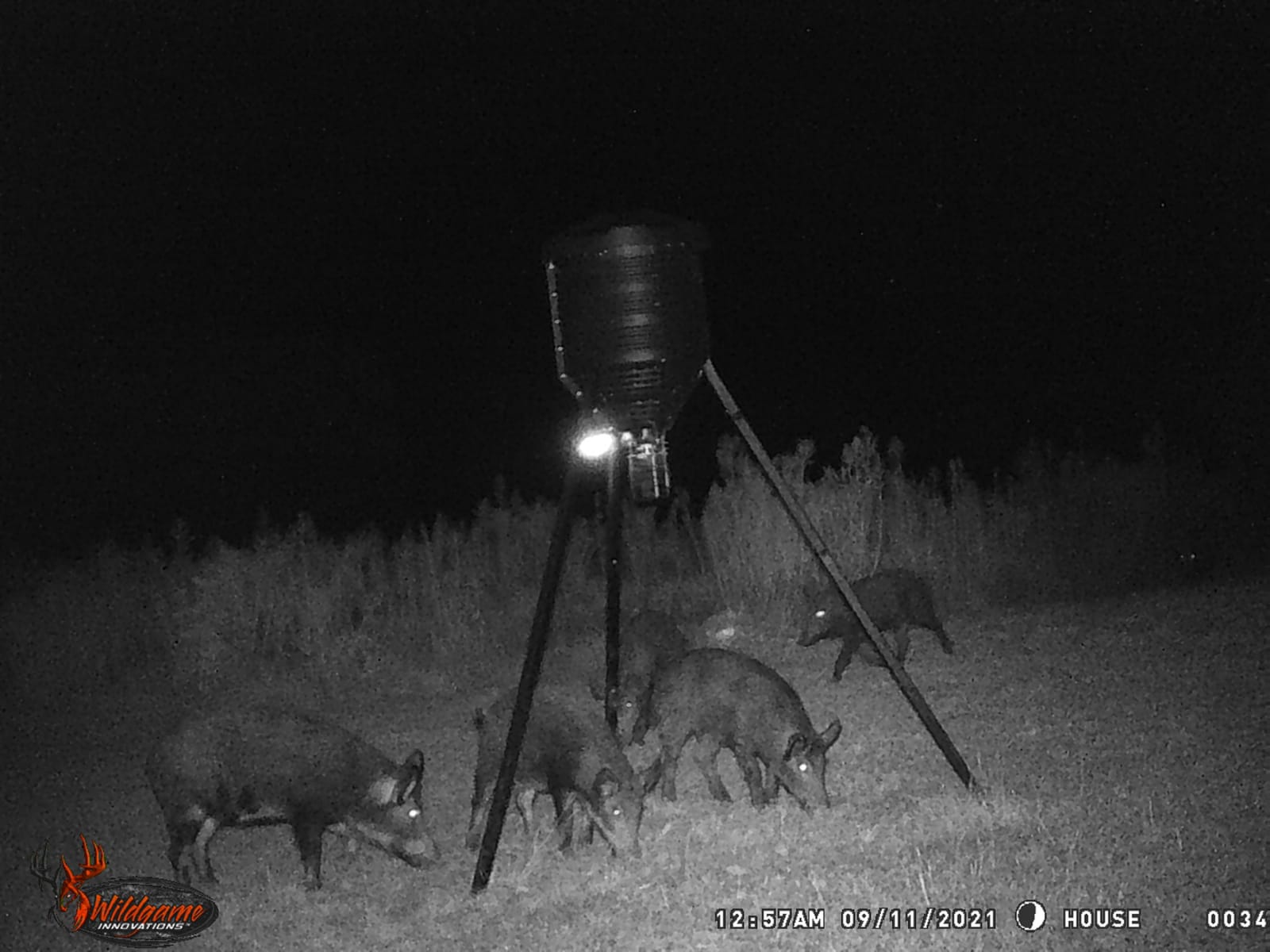 WILDGAME INNOVATIONS Moonshine Feeder Light | Weather-Resistant Motion-Activated Green LED Light with Integrated Solar Panel for Hog & Predator Hunting customer photo 1