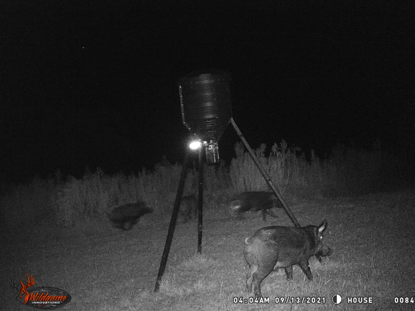 WILDGAME INNOVATIONS Moonshine Feeder Light | Weather-Resistant Motion-Activated Green LED Light with Integrated Solar Panel for Hog & Predator Hunting customer photo 2