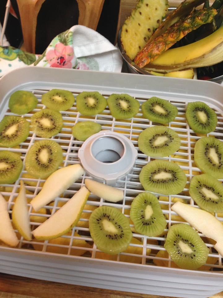 Hamilton Beach Digital Food Dehydrator for Fruit, Jerky, Vegetables & More customer photo 2
