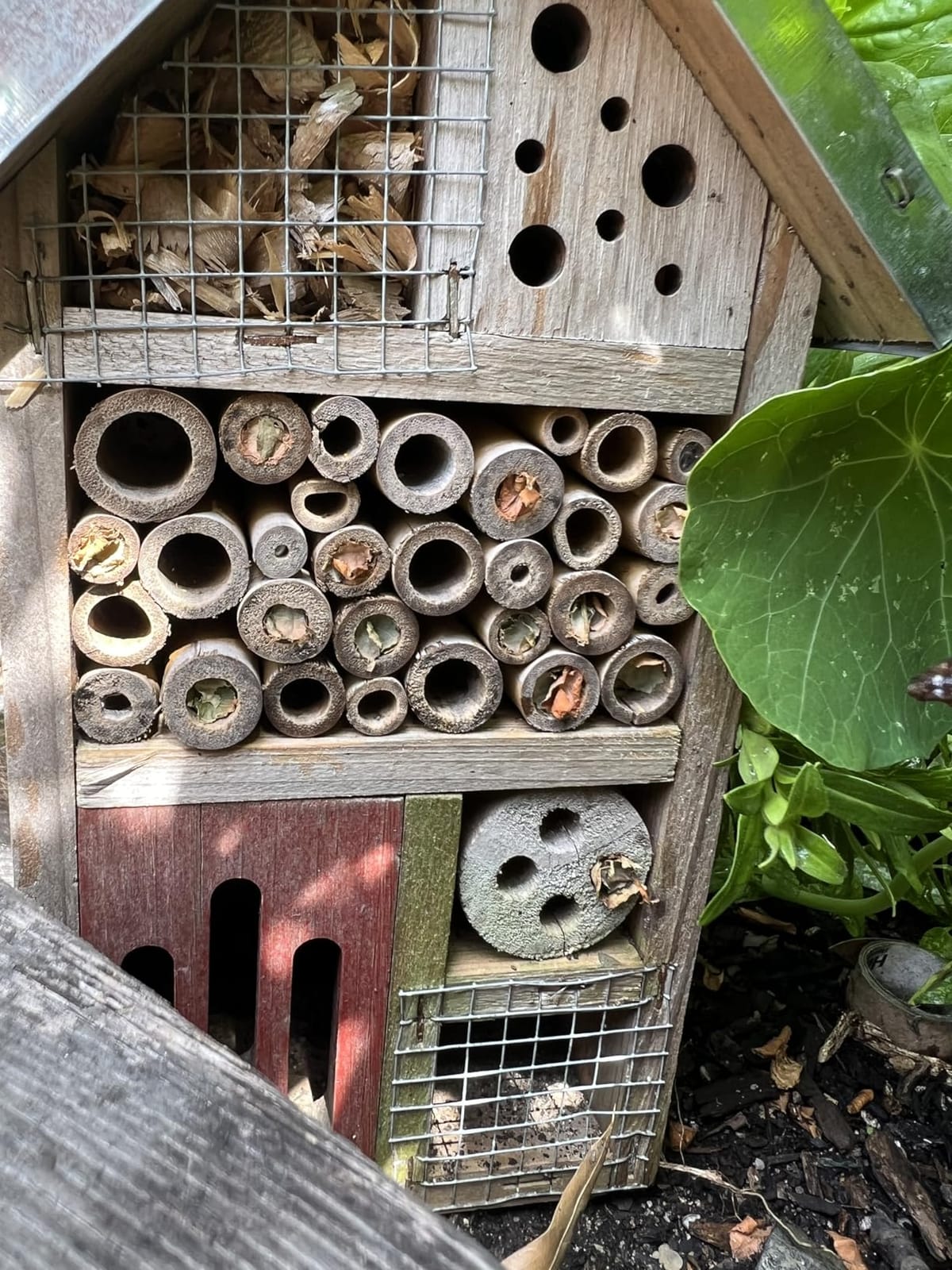 Niteangel Natural Wooden Insect Hotel, Garden Insect House for Ladybugs, lacewings, Butterfly, Bee, Bug customer photo 2