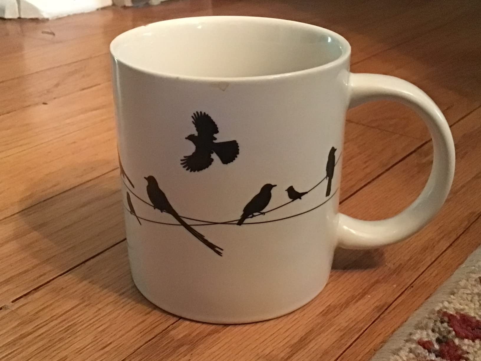 The Unemployed Philosophers Guild Birds on a Wire Heat Changing Mug - Add Coffee and Colorful Birds Appear, Comes in a Fun Box customer photo 1