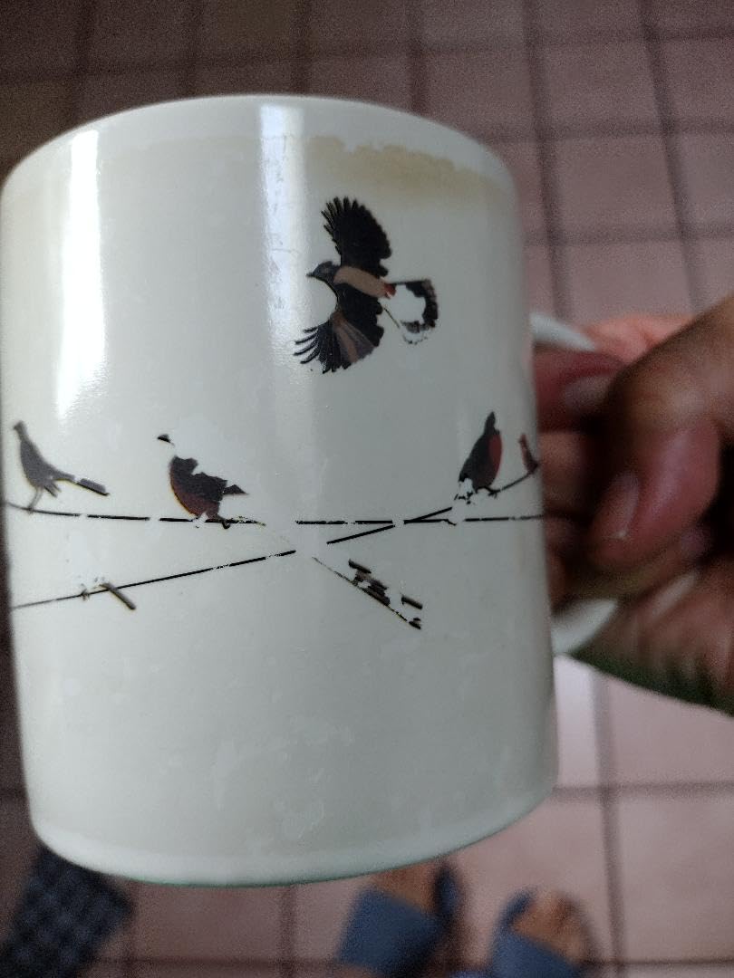 The Unemployed Philosophers Guild Birds on a Wire Heat Changing Mug - Add Coffee and Colorful Birds Appear, Comes in a Fun Box customer photo 2