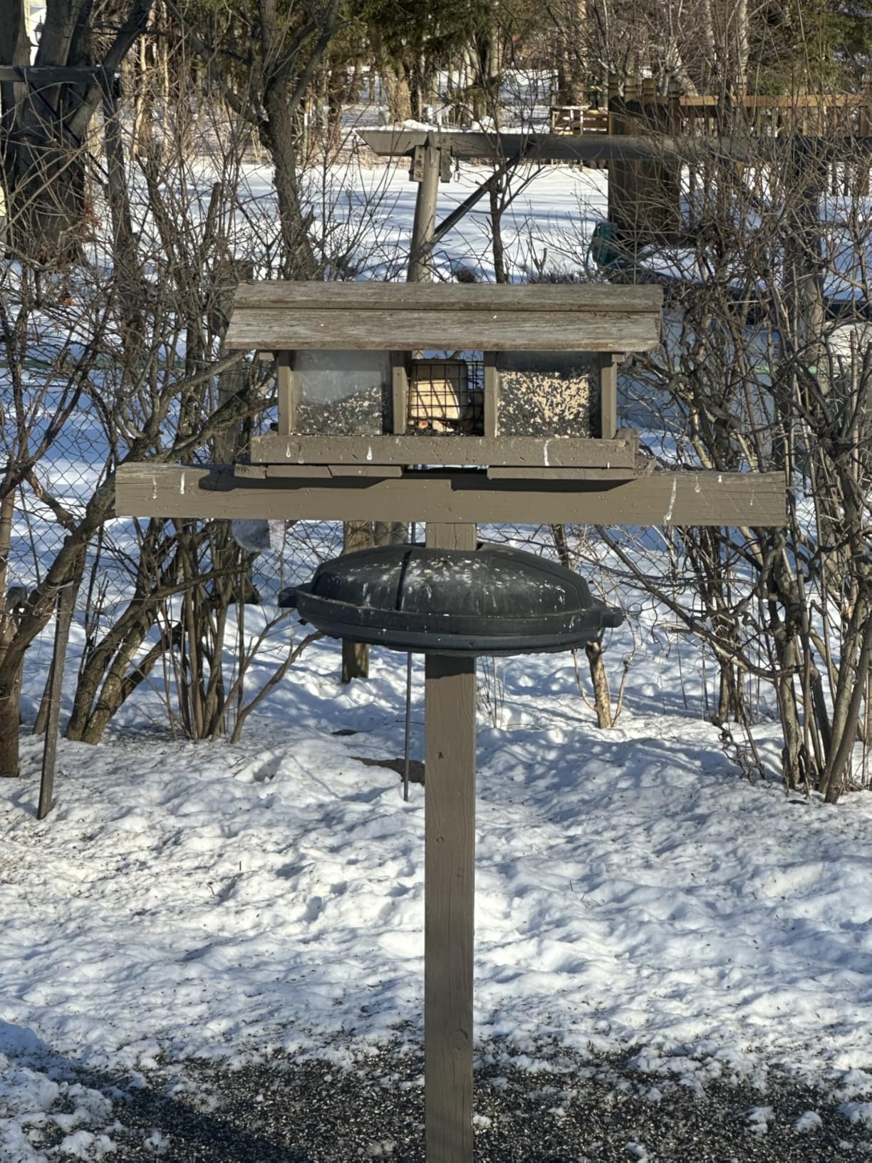 Wildlife Sciences High Energy Suet Cake 10 Pack customer photo 2