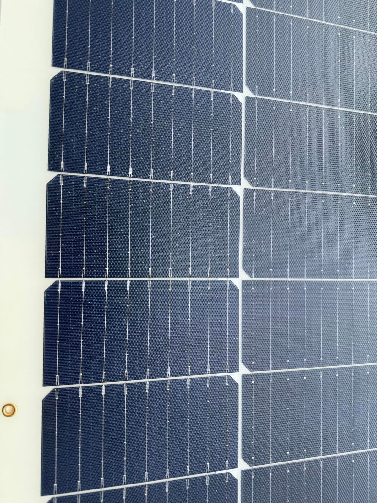 Renogy Flexible Solar Panel 100 Watt, 240° Ultra Flex Bendable customer photo 2