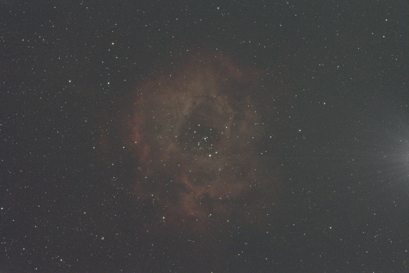 ZWO ASI183MC Pro 20.18 MP CMOS Color Astronomy Camera with USB 3.0 customer photo 2