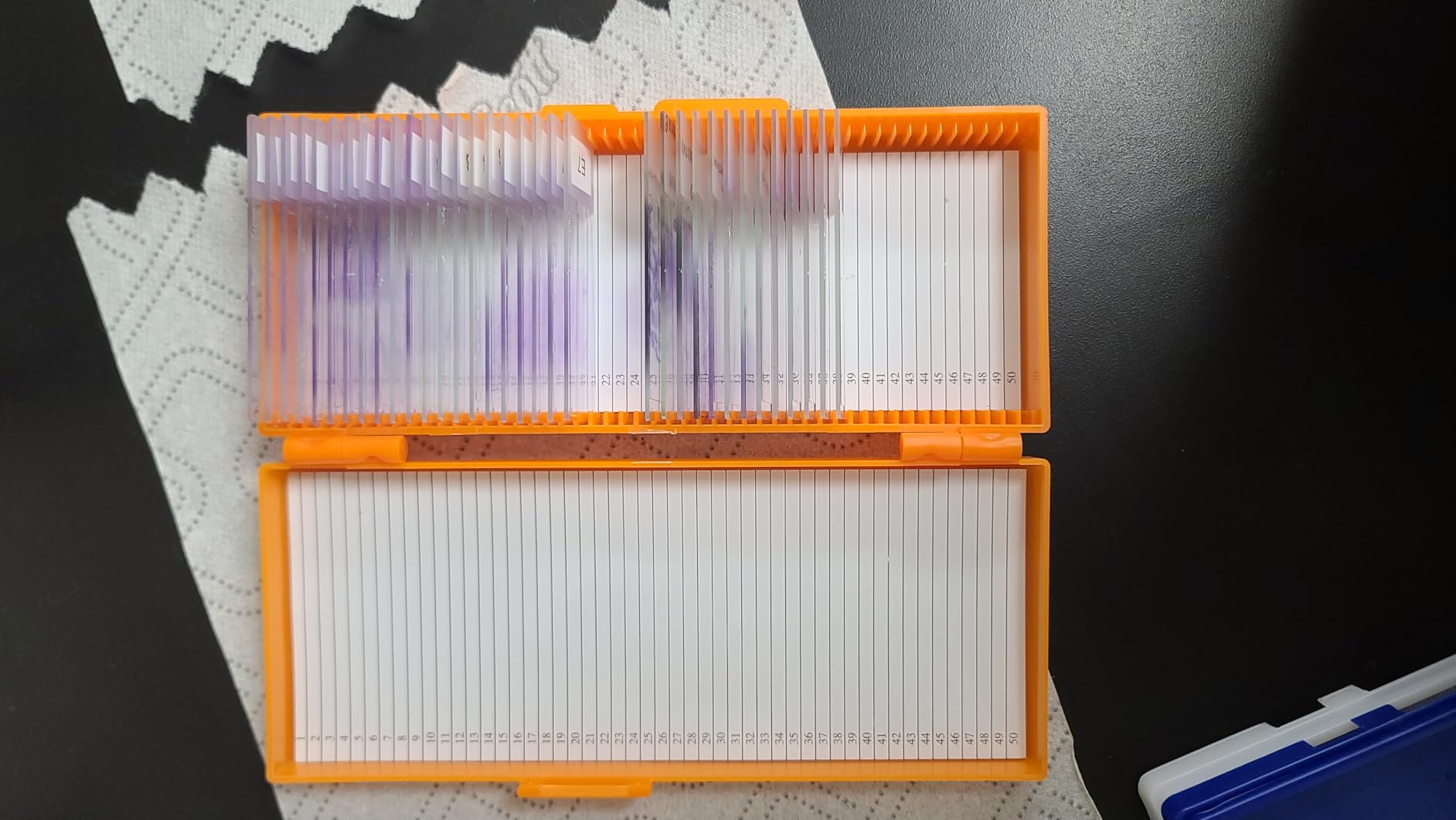 50-Place Microslide Slide Microscope Box Colors, Blue, Green, Orange, White(Pack of 4) customer photo 1