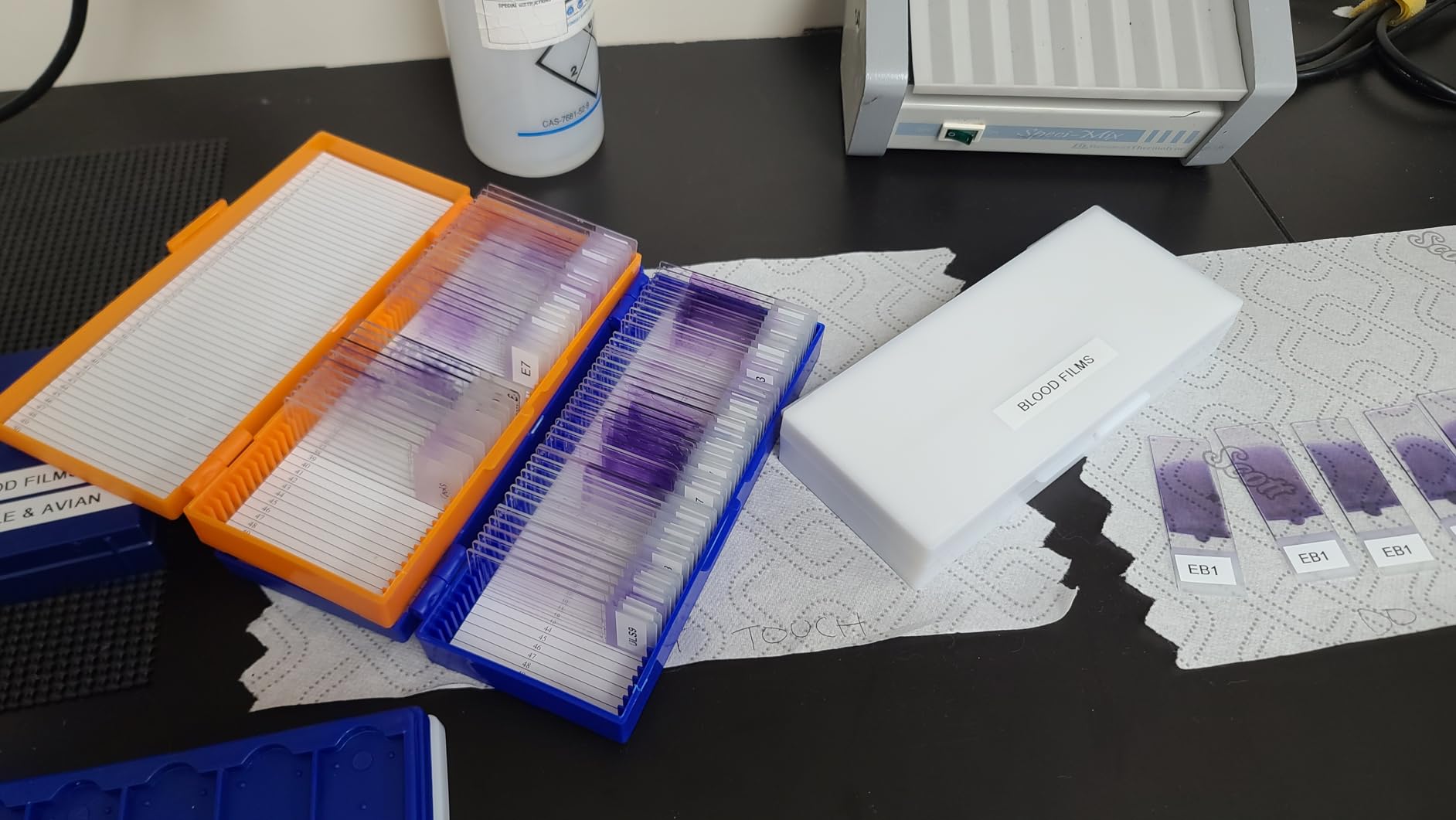 50-Place Microslide Slide Microscope Box Colors, Blue, Green, Orange, White(Pack of 4) customer photo 2