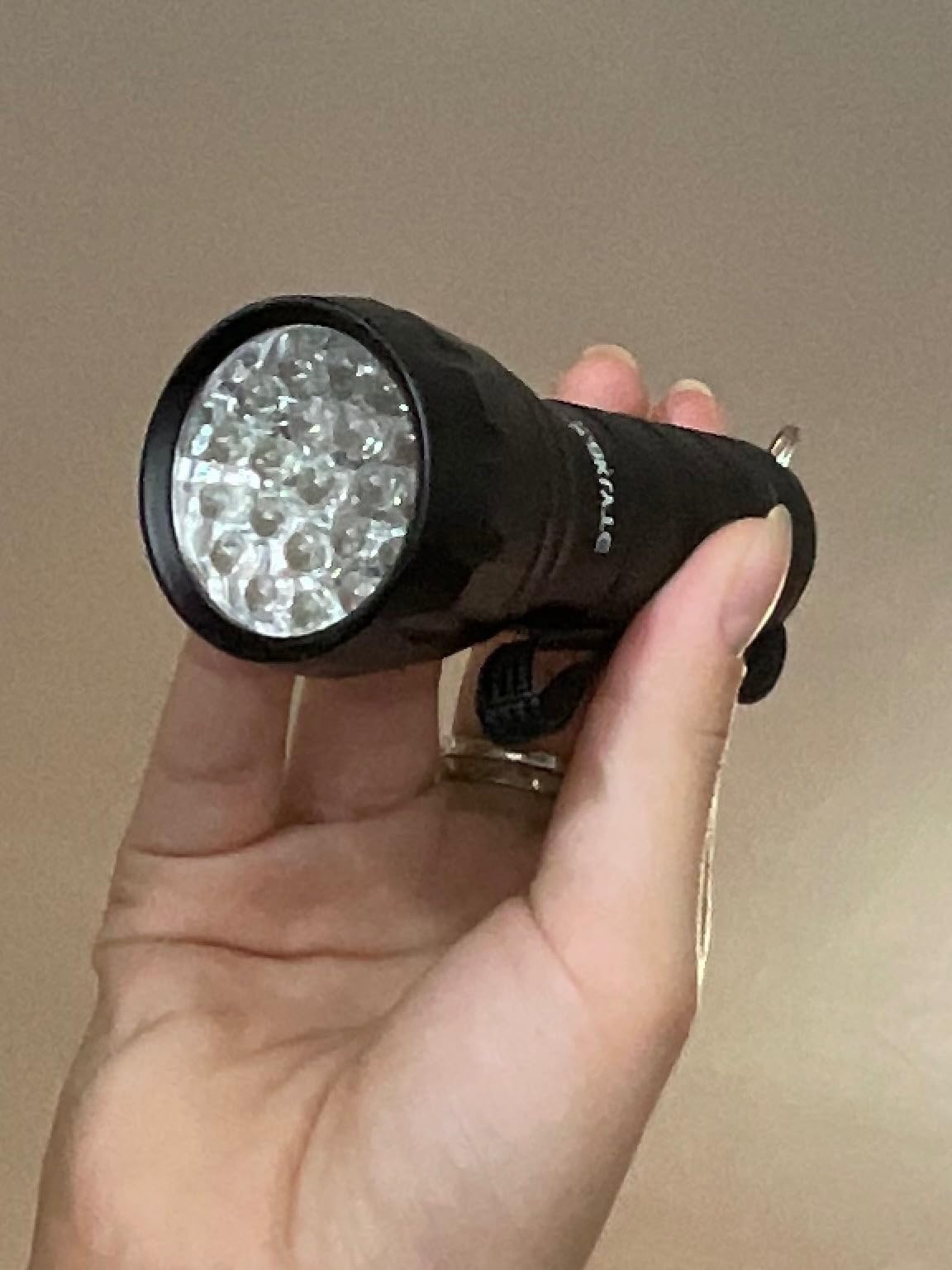 Waklyte Black Light UV Light, 21 LED 395nm UV Flashlight, Powerful Mini Blacklight Flashlight, Small Portable Black Light Flashlight for Pet Urine Detection, Scorpion, Resin Curing, Bed Bug, Nails customer photo 1