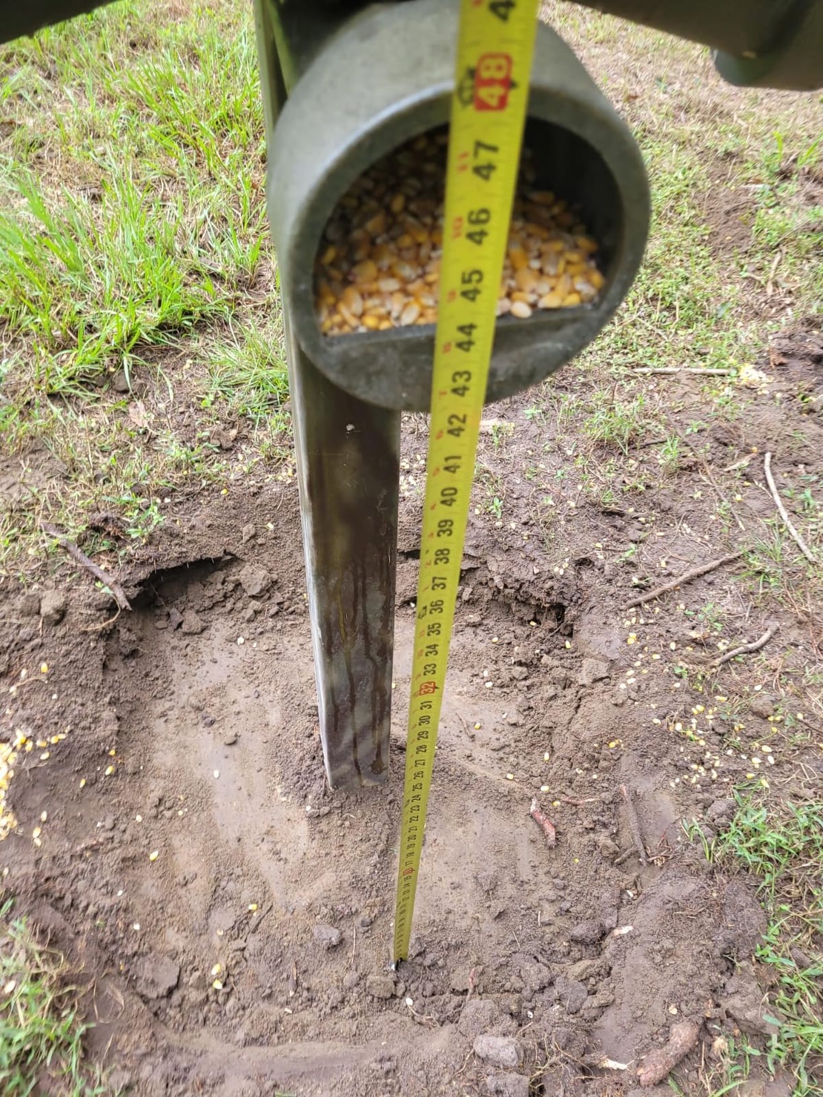 Banks Outdoors Gravity Fed Post Mounted Weatherproof Feed Bank Deer and Game Hunting Feeder with 150 Pound Capacity, Green customer photo 1
