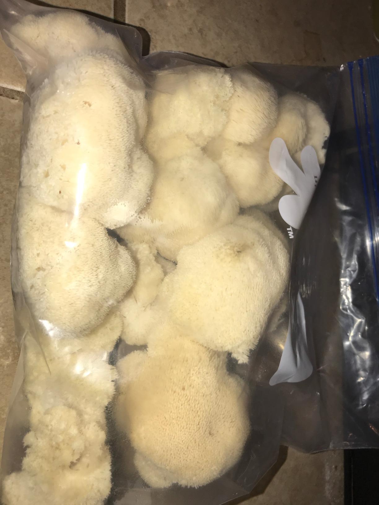 Root Mushroom Farm-Mushroom Liquid Cultures/Lion's Mane(Hericium erinaceus) customer photo 2
