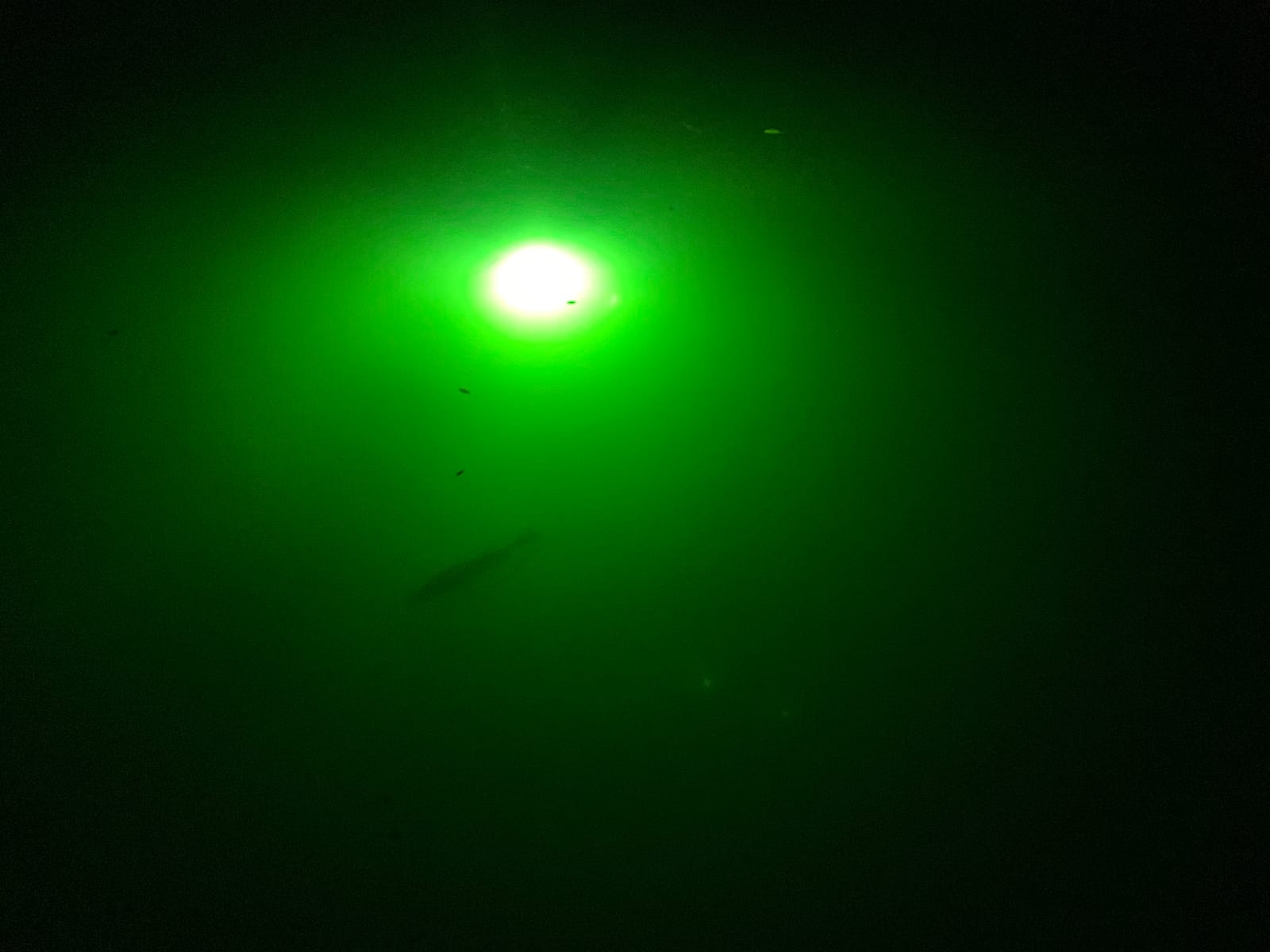 Underwater Fish Light 175W Natural Green Dock Light - Professional Fish Attractor System with Automatic Night Sensor - Marine Grade Submersible Light for Salt & Fresh Water Docks customer photo 1