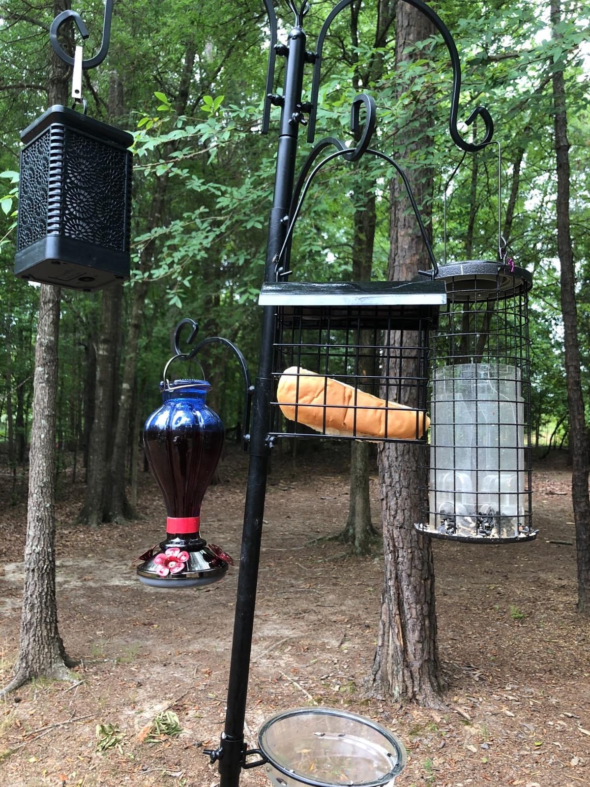 FORUP Suet Bird Feeder, Hanging Suet Feeder, Single Suet Cake Bird Feeder, One Suet Capacity customer photo 1