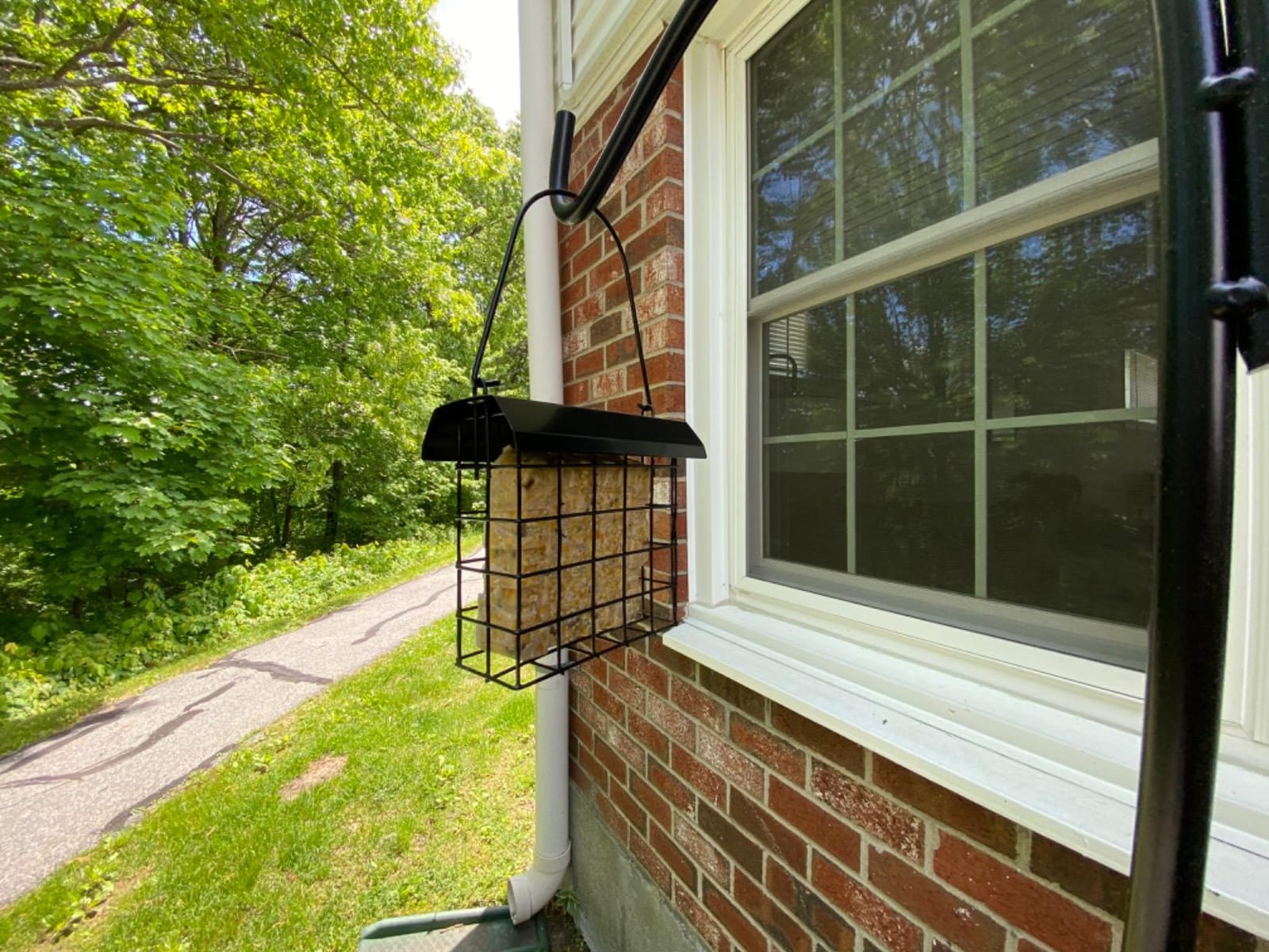 FORUP Suet Bird Feeder, Hanging Suet Feeder, Single Suet Cake Bird Feeder, One Suet Capacity customer photo 2