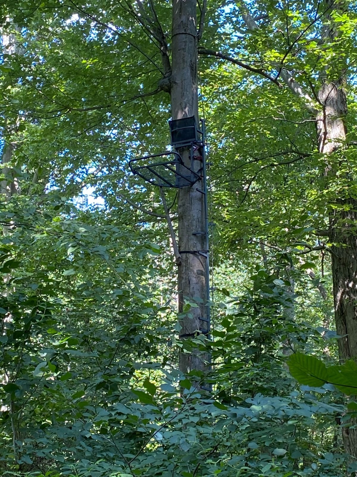 Treestand Safety Rope Lifeline System - 30ft Life Lines for use with Tree Stand Harness. Safety Lifeline Tree Stand Rope. 350 lb Rated Lifeline Rope. customer photo 2
