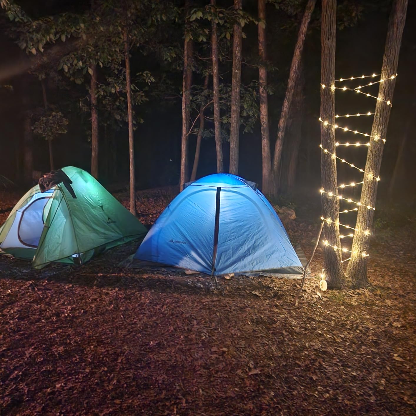 BISINNA 2/4 Person Camping Tent Lightweight Waterproof Backpacking Tent customer photo 1