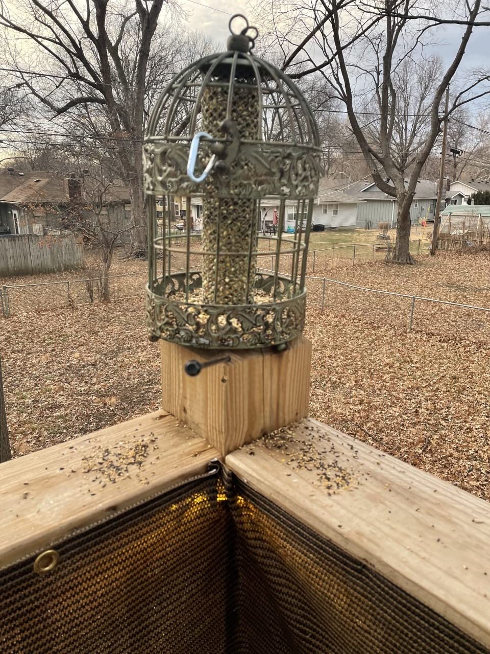 Westcharm 13 in. Caged Squirrel Proof Bird Feeder for Small Songbirds, Tall Rustic Metal Hanging Bird Feeder for Garden Patio Yard - Verdigris 3.5 Cups Seed Capacity customer photo 1