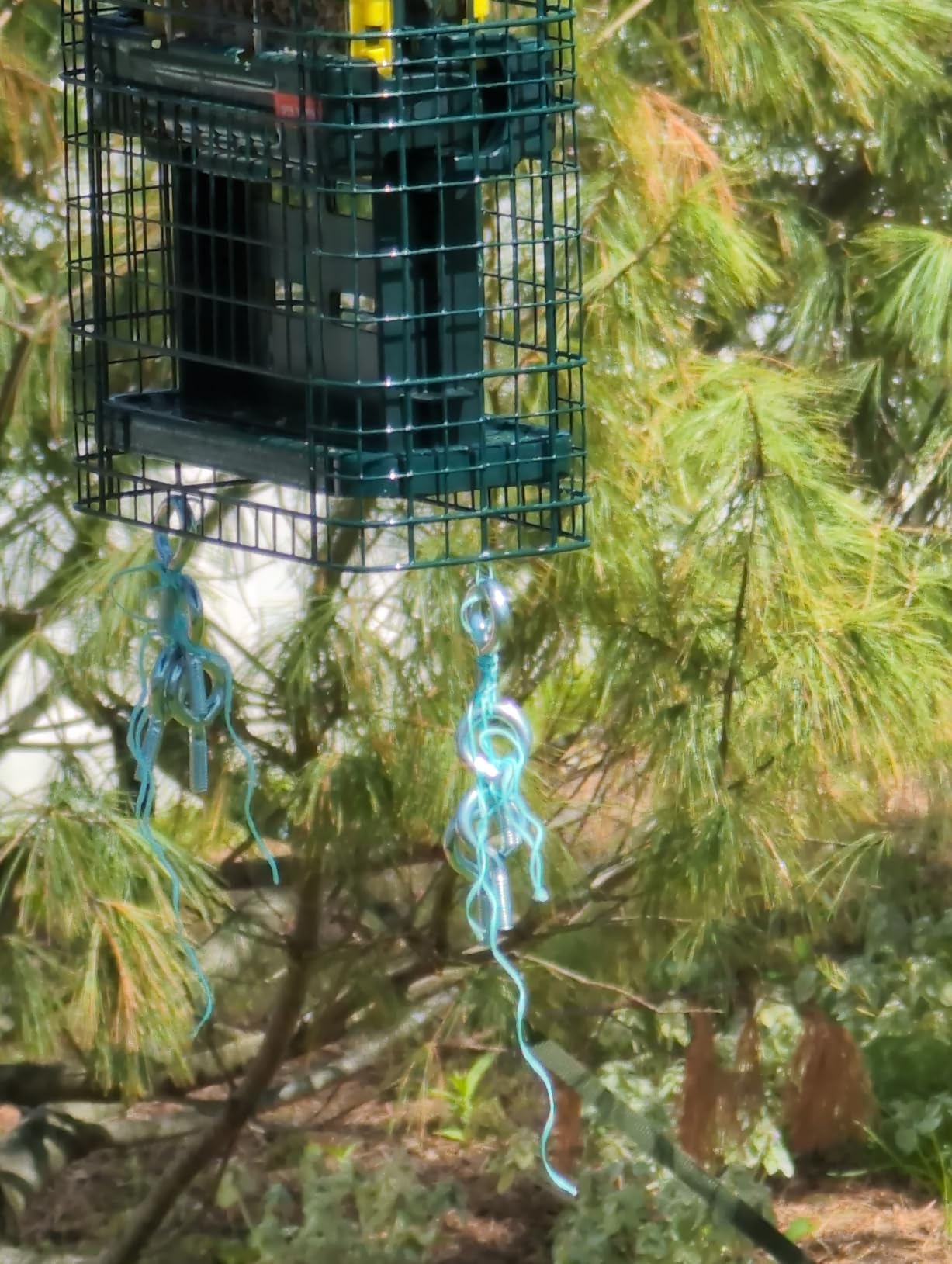Squirrel Buster Suet Squirrel-Proof Suet Bird Feeder with Two Suet Cake Trays, Two Crumb Ports, Mess-Free Suet Loading, Durable Green Design for Clinging Birds customer photo 2