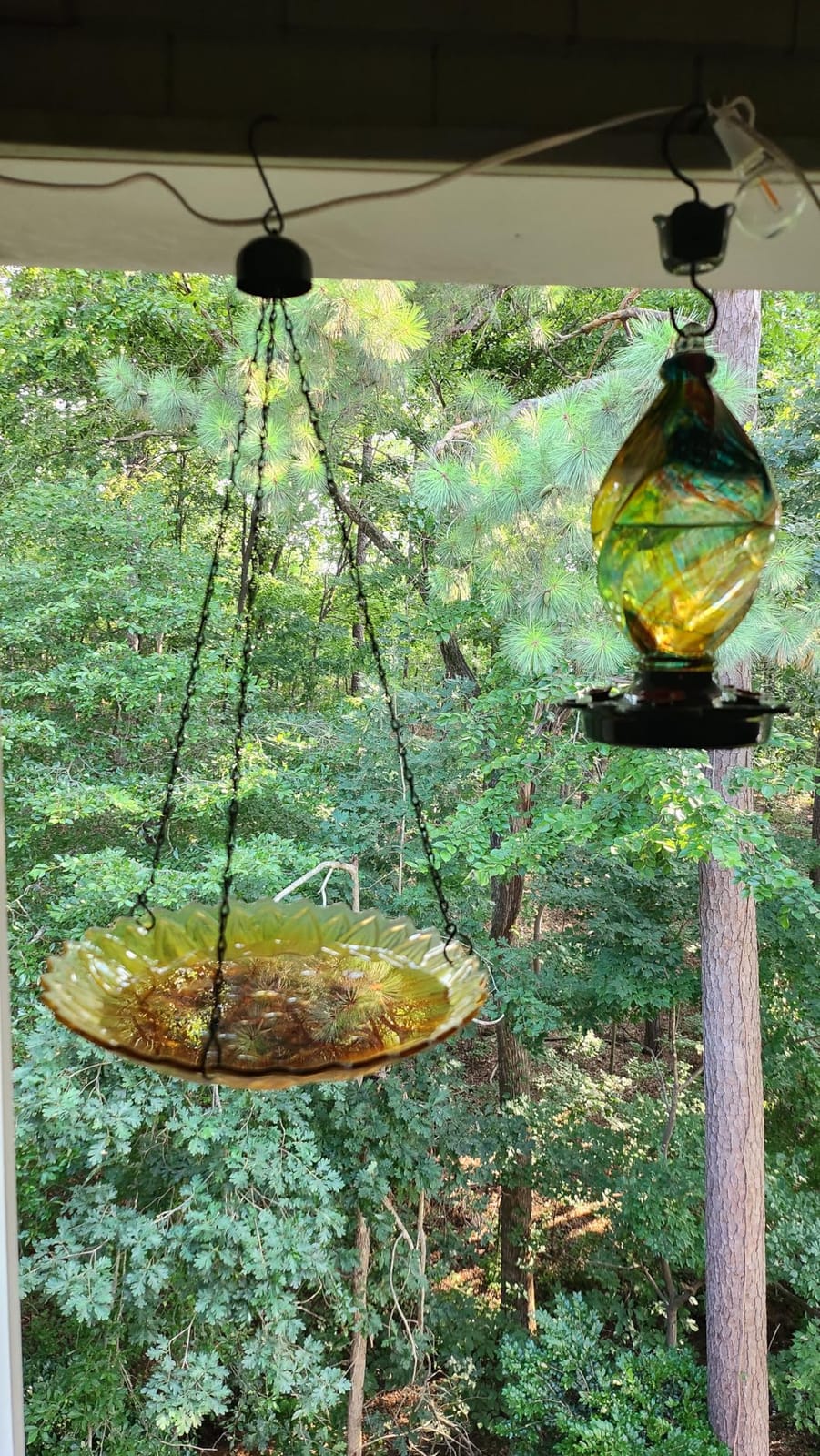 MUMTOP Hanging Glass Bird Bath Sunflower Outdoor Birdfeeder Garden Decor | 11-inch Hanging Glass Bird Bath and birdfeeder with Water Ripple Rim for Outdoor Yard Patio Decor, Bird Drinking and Bathing customer photo 2