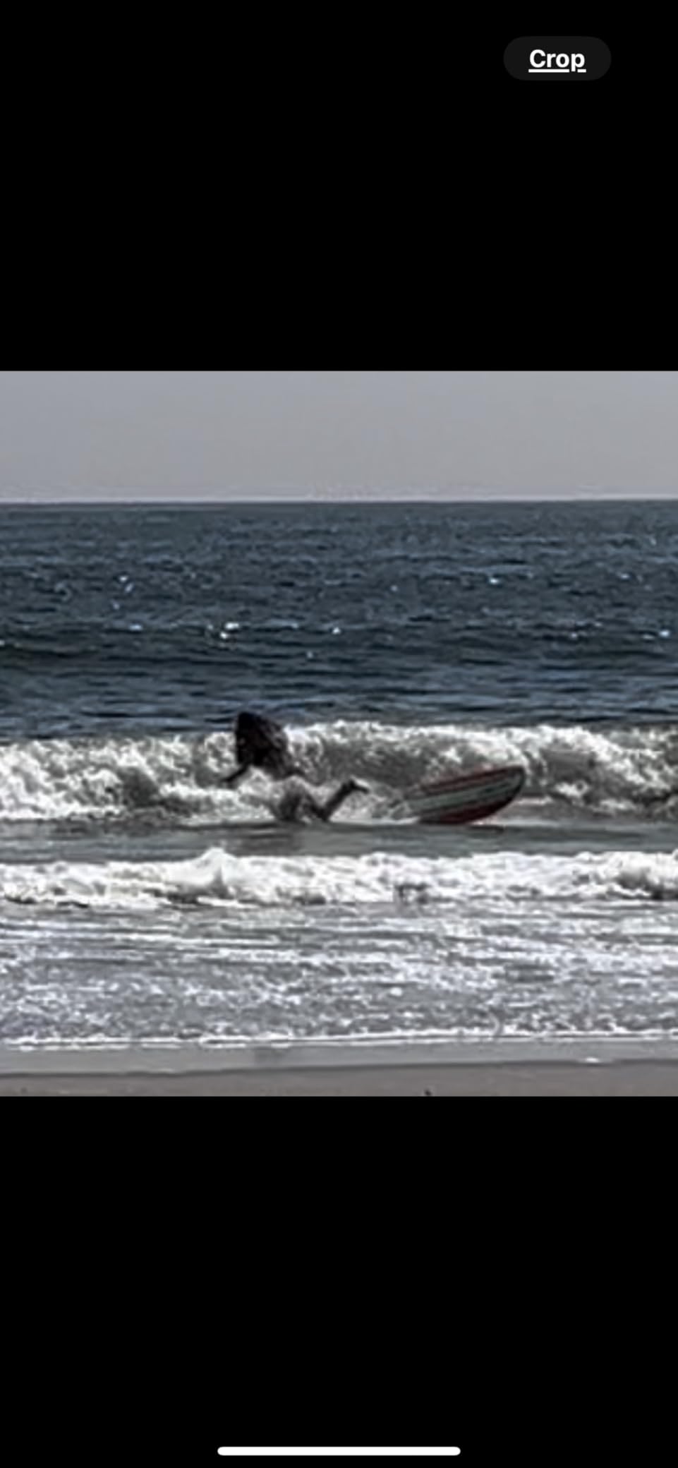 Wavestorm 8ft Surfboard // Foam Wax Free Soft Top Longboard for Adults and Kids of All Levels of Surfing, Multicolor customer photo 1