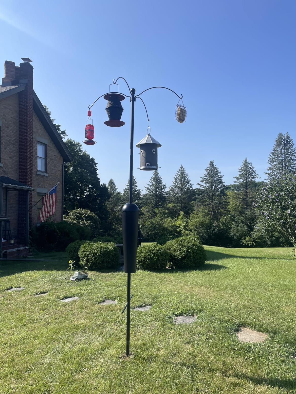 Squirrel Stopper Sequoia Squirrel Proof Bird Feeder Pole System with Patented Spring Baffle, 4 Hanging Stations, Heavy Duty Galvanized Steel with Auger, Adjustable Arms customer photo 1