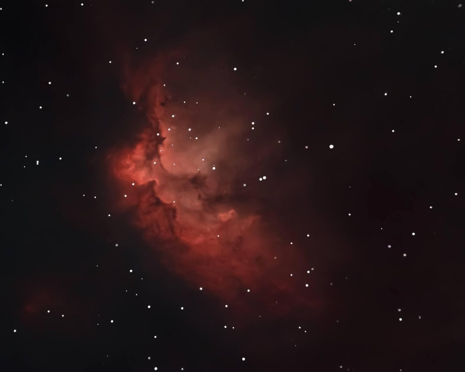 ZWO ASI533MC Pro CMOS Color Cooled Astronomy Camera customer photo 2