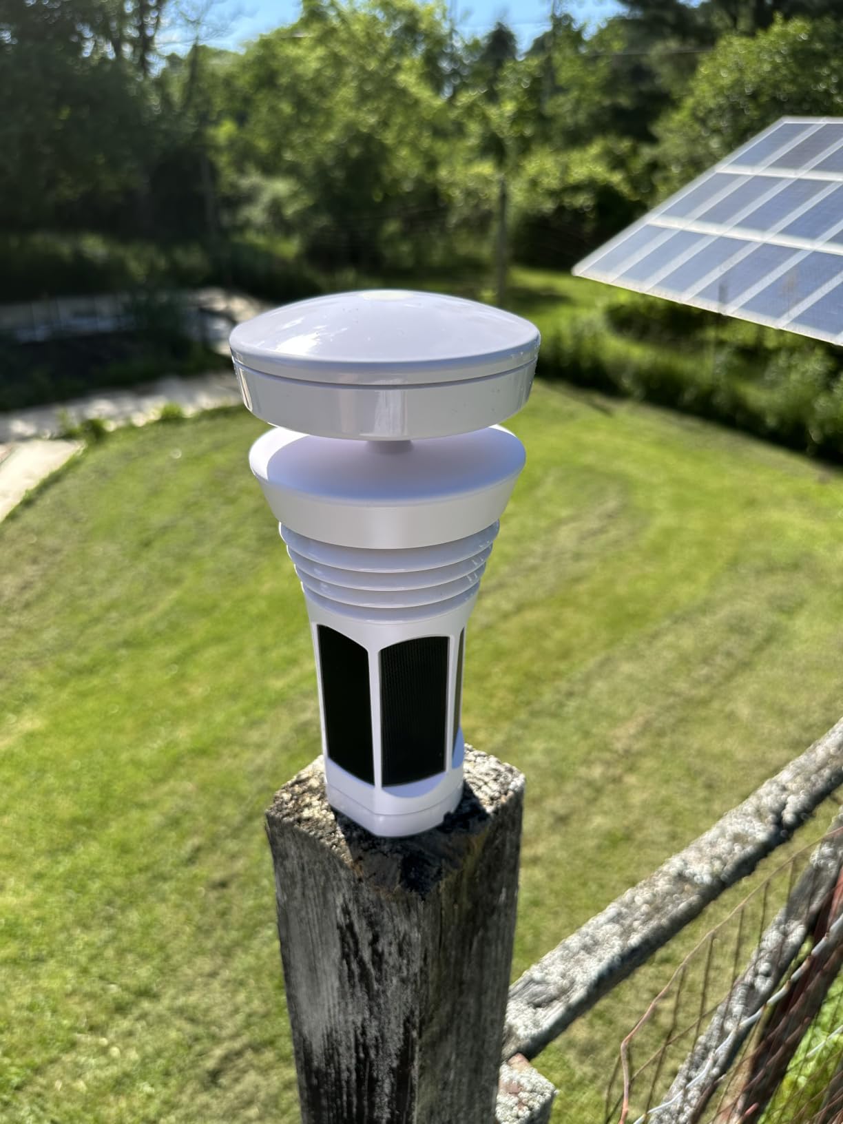 Tempest Weather Station with Built-in Wind Meter, Rain Gauge, and Accurate Weather Forecasts, Wireless, App and Alexa Enabled customer photo 1