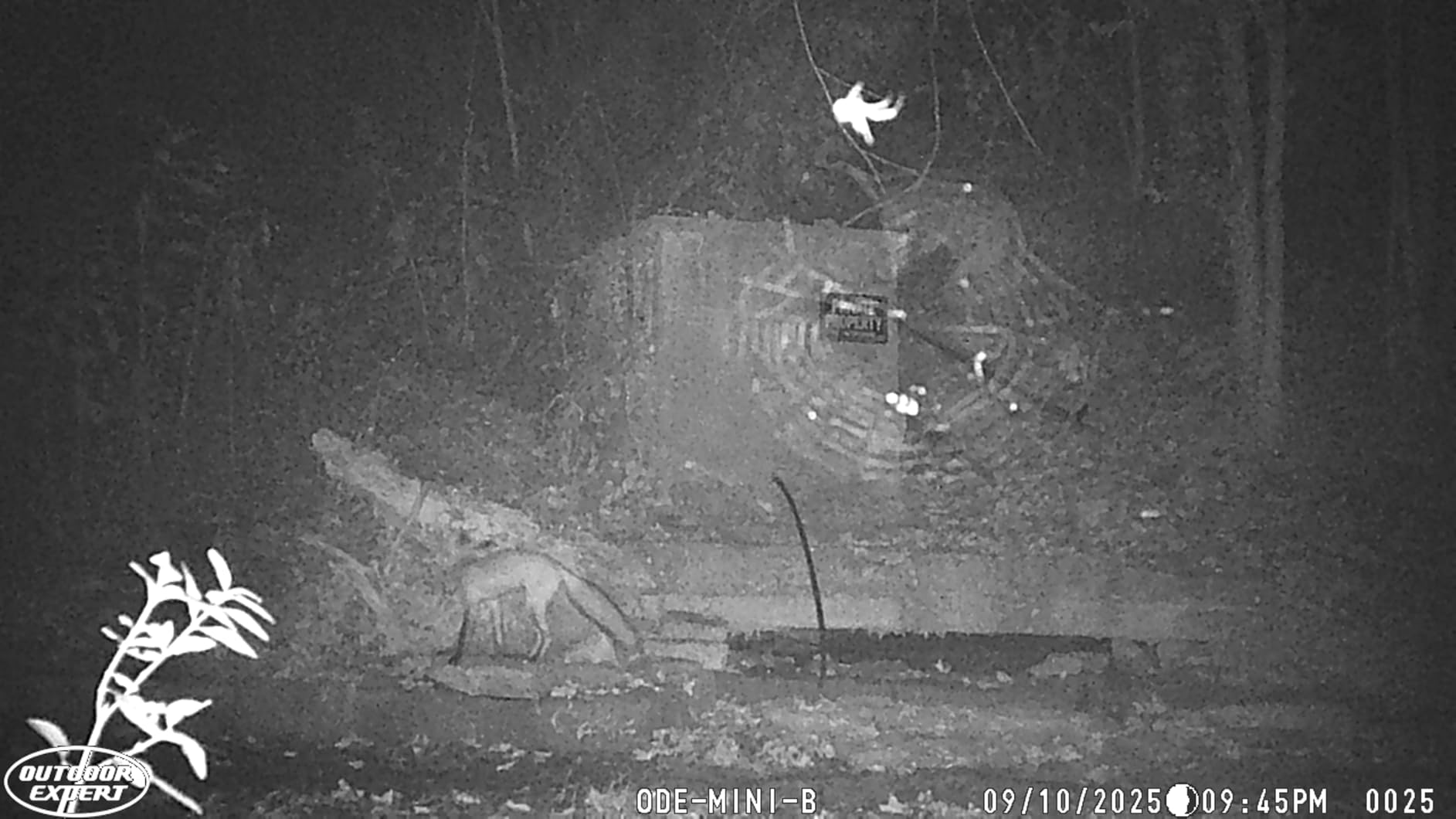 OUTDOOR EXPERT Game Camera 20MP Mini, 1080P Hunting Trail Camera with No Glow 940nm Night Vision, Motion Activated, IP66 Waterproof, 80ft Illumination Range for Wildlife Monitoring, Outdoor Use customer photo 1