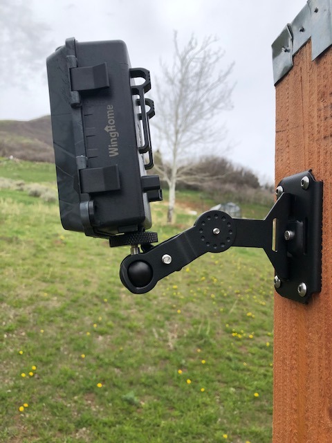 WingHome Trail Camera Mounting Bracket,Hunting Pro Gear Acccessery, Wildlife Cam Holder Deer Monitor Stand Hunter Camera Kit customer photo 2