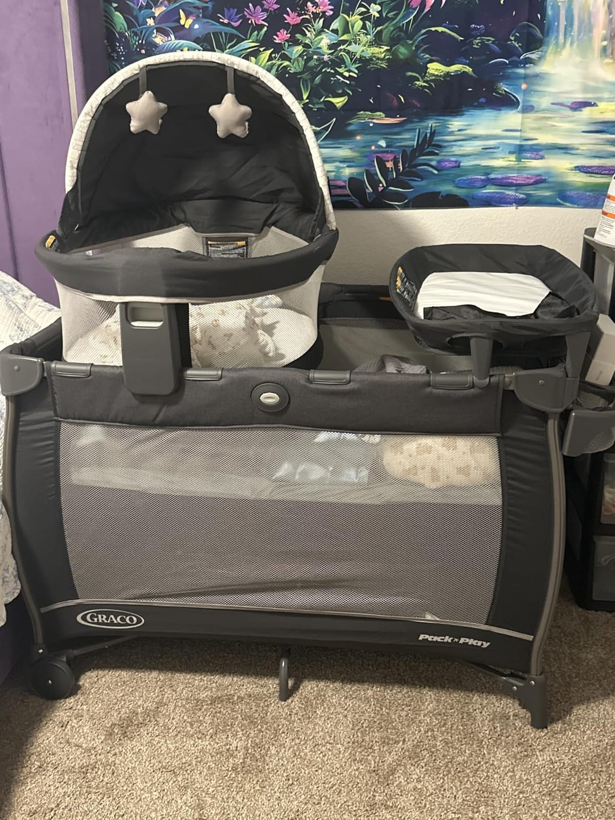 Graco Travel Dome LX Pack 'n Play Playard, Redmond customer photo 2