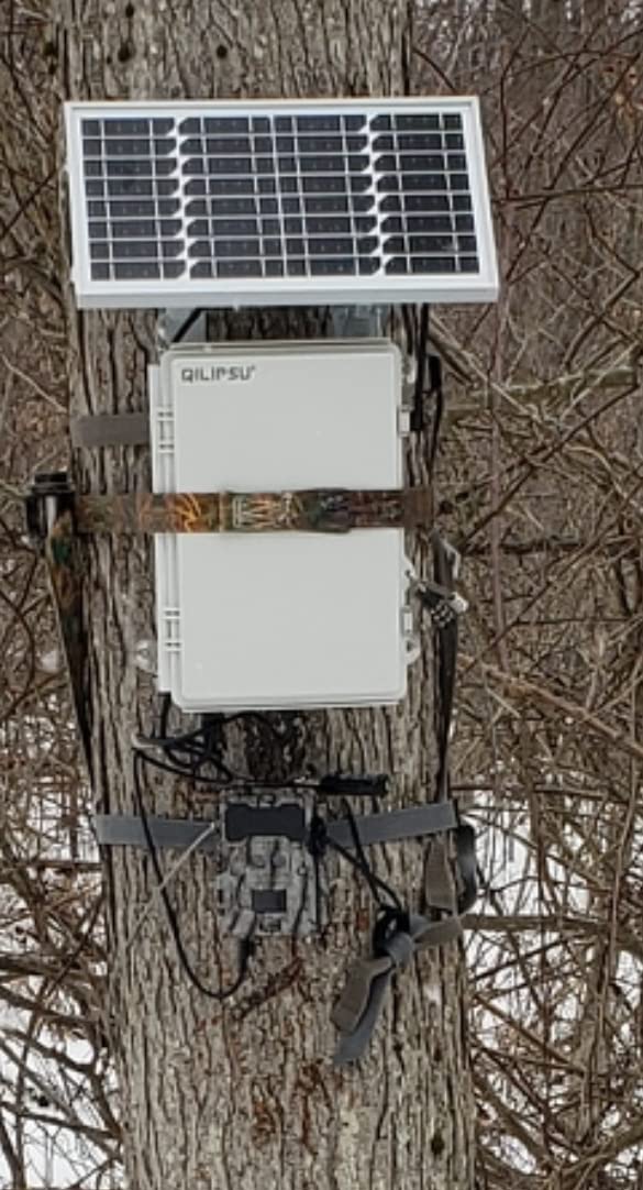 No Glow Dual Lens Outdoor Hunting Trail Camera 30MP 1080p 30fps IP67 Waterproof Scouting Cam with Ultra Fast Motion Trigger Speed and Recovery Rate 2.4