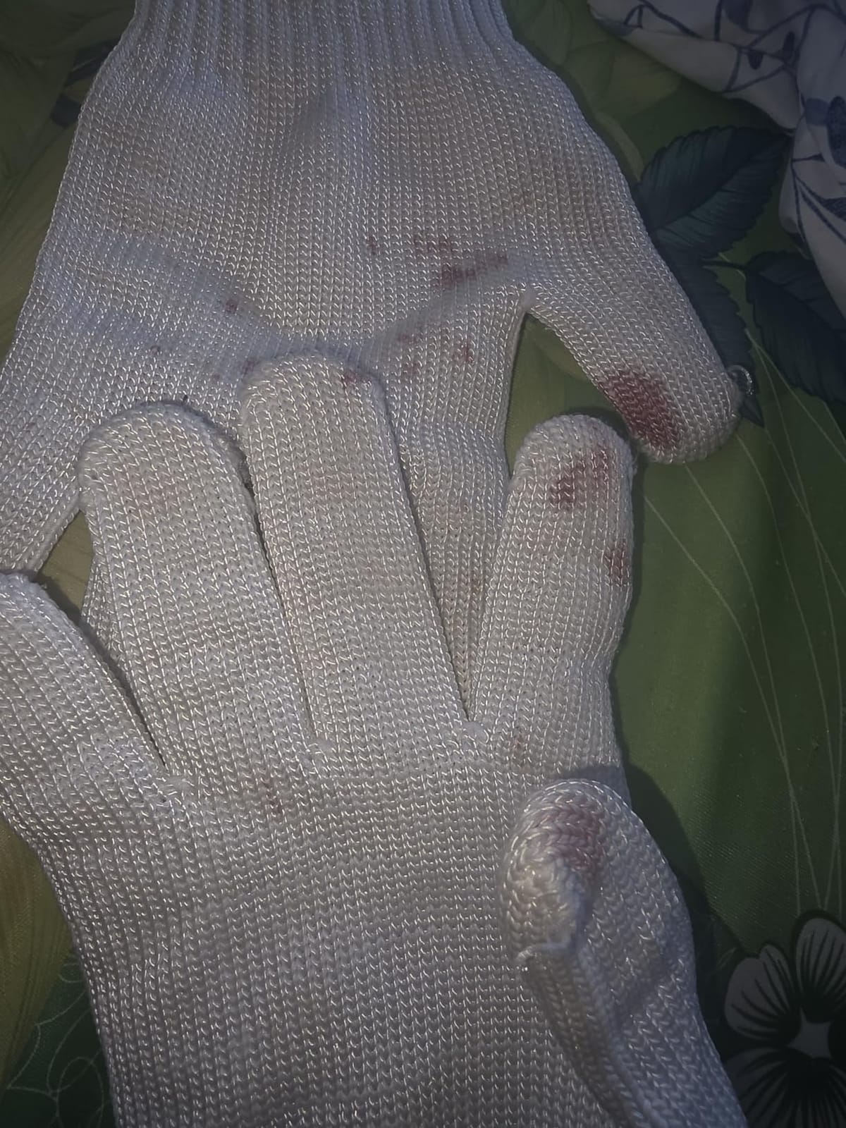 alfyng Bird Training Anti-Bite Gloves, Small Animal Handling Gloves, Chewing Protective Gloves for Small Animal Pet Squirrels Hamster Parrotlets Cockatiels Finch Macaw (1 Pair) customer photo 1
