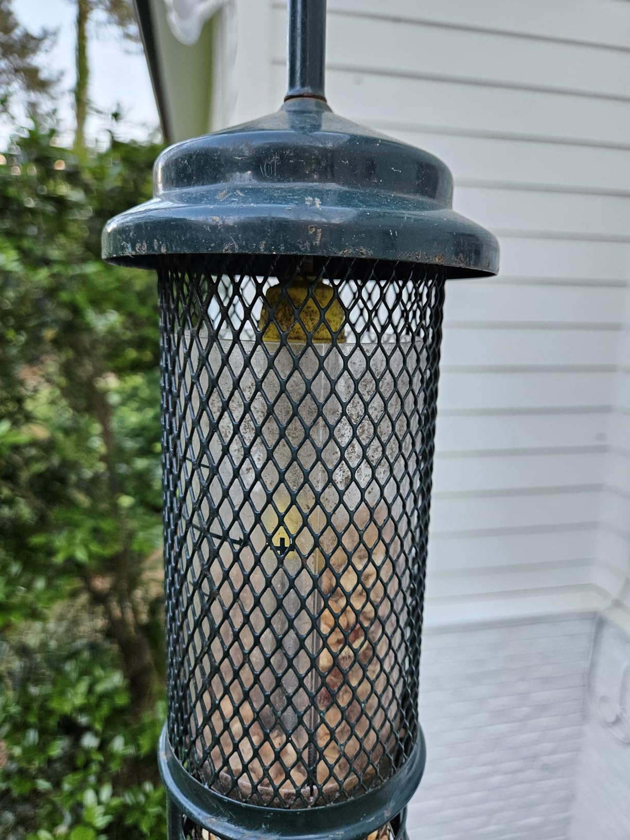 Squirrel Buster Nut Feeder Squirrel-Proof Bird Feeder for Shelled Peanuts & Dried Fruit, Weight-Adjustable, Woodpecker Friendly, 1.3lb Capacity with 2 Interchangeable Meshes customer photo 1