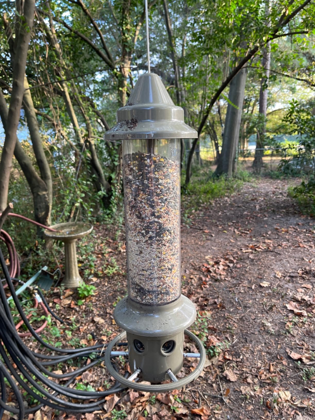 Squirrel Buster Nut Feeder Squirrel-Proof Bird Feeder for Shelled Peanuts & Dried Fruit, Weight-Adjustable, Woodpecker Friendly, 1.3lb Capacity with 2 Interchangeable Meshes customer photo 2